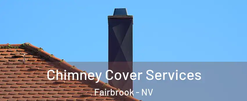 Chimney Cover Services Fairbrook - NV