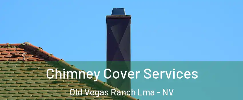 Chimney Cover Services Old Vegas Ranch Lma - NV