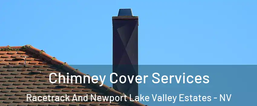 Chimney Cover Services Racetrack And Newport Lake Valley Estates - NV