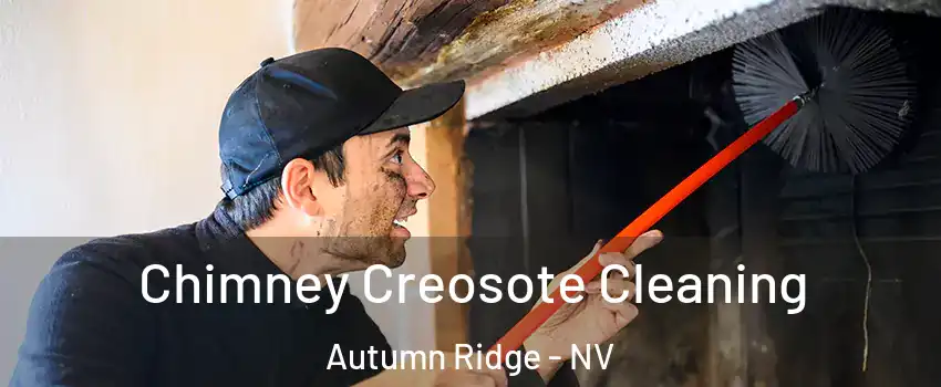 Chimney Creosote Cleaning Autumn Ridge - NV