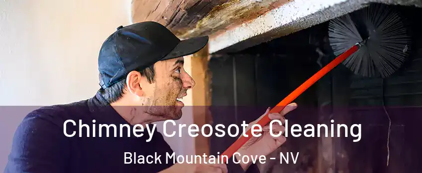 Chimney Creosote Cleaning Black Mountain Cove - NV