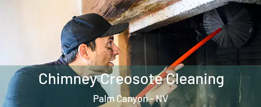 Chimney Creosote Cleaning Palm Canyon - NV