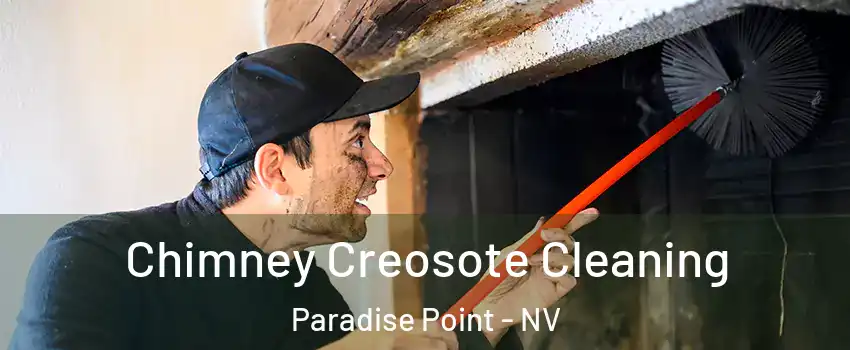 Chimney Creosote Cleaning Paradise Point - NV