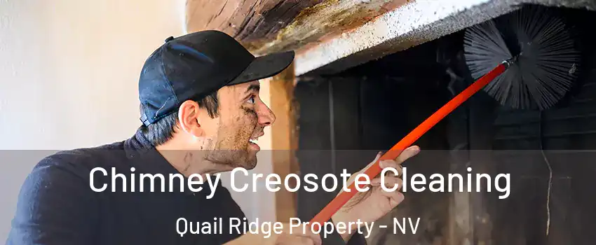 Chimney Creosote Cleaning Quail Ridge Property - NV