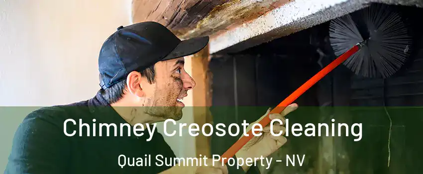 Chimney Creosote Cleaning Quail Summit Property - NV