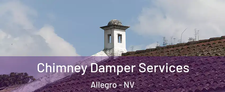 Chimney Damper Services Allegro - NV