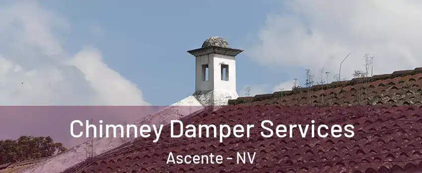 Chimney Damper Services Ascente - NV