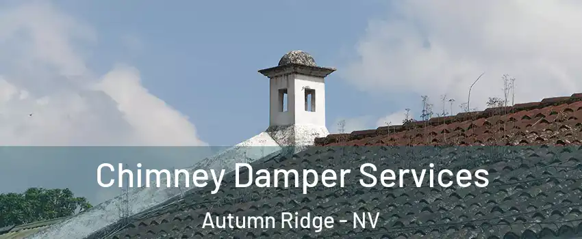 Chimney Damper Services Autumn Ridge - NV