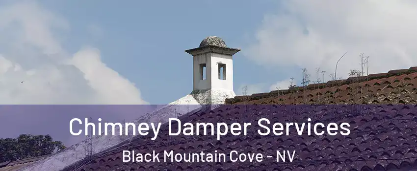 Chimney Damper Services Black Mountain Cove - NV