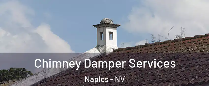 Chimney Damper Services Naples - NV