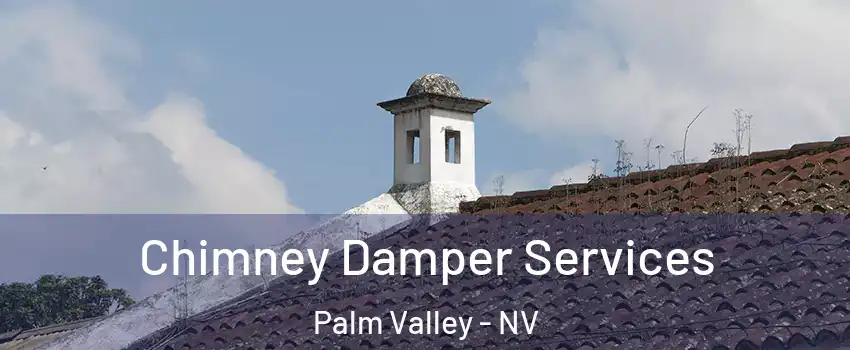 Chimney Damper Services Palm Valley - NV