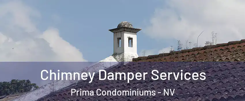 Chimney Damper Services Prima Condominiums - NV