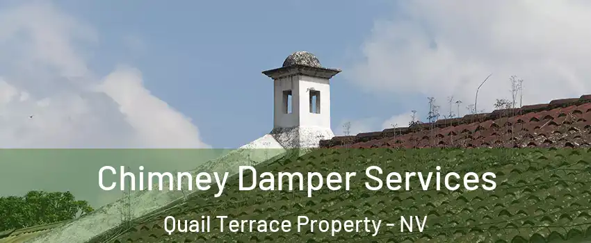 Chimney Damper Services Quail Terrace Property - NV