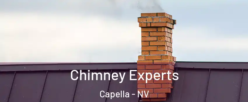 Chimney Experts Capella - NV