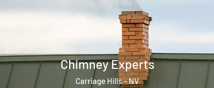 Chimney Experts Carriage Hills - NV