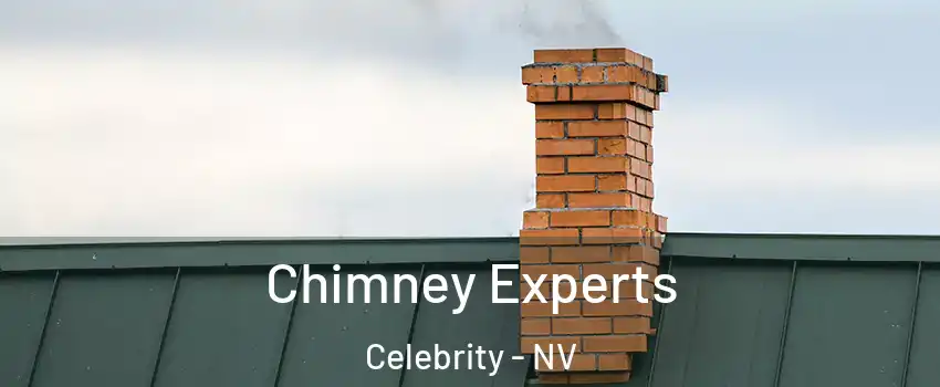 Chimney Experts Celebrity - NV