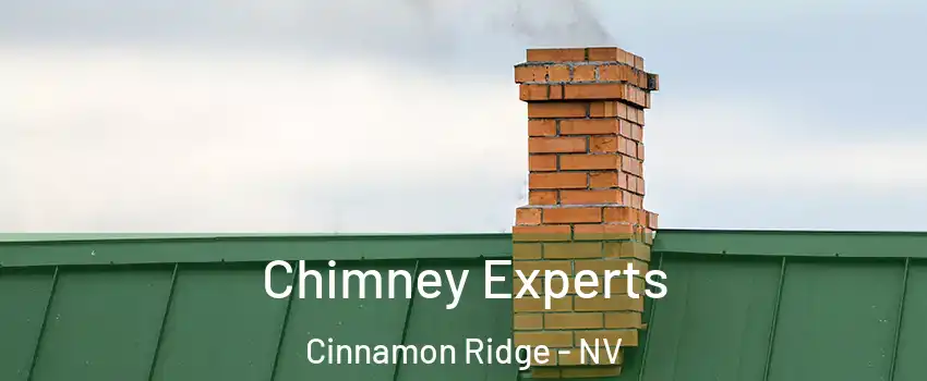 Chimney Experts Cinnamon Ridge - NV