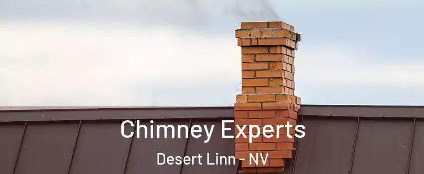 Chimney Experts Desert Linn - NV