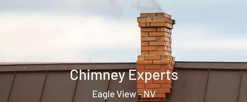 Chimney Experts Eagle View - NV