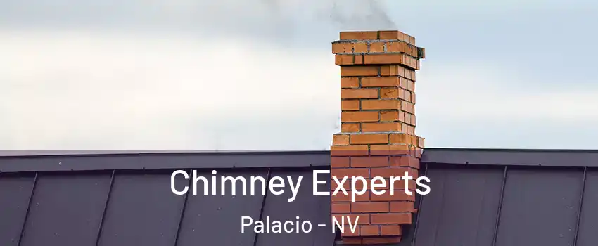 Chimney Experts Palacio - NV