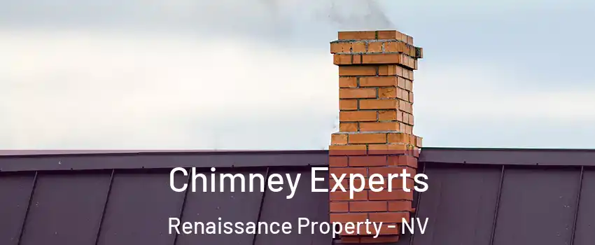 Chimney Experts Renaissance Property - NV