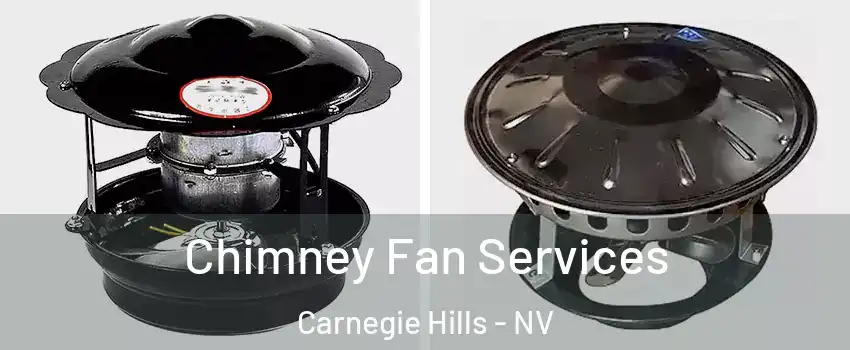 Chimney Fan Services Carnegie Hills - NV