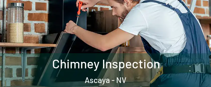 Chimney Inspection Ascaya - NV