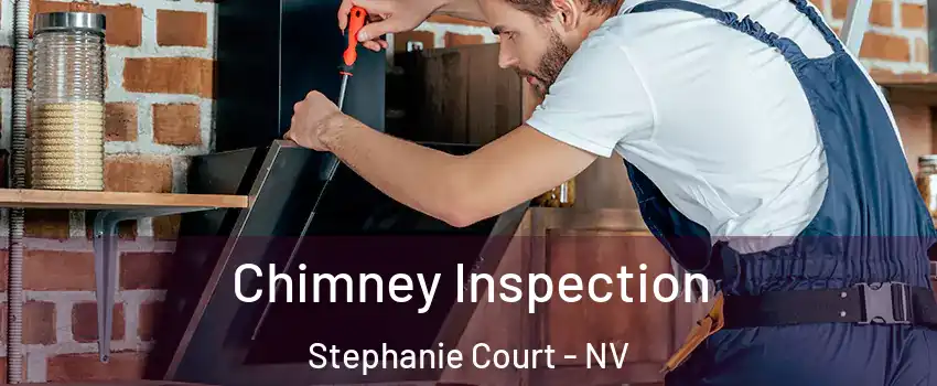 Chimney Inspection Stephanie Court - NV