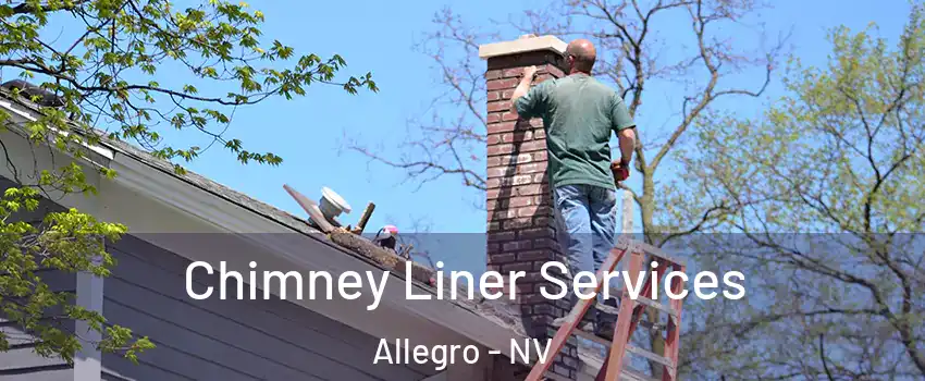 Chimney Liner Services Allegro - NV