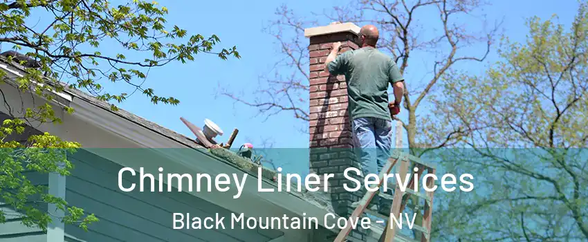 Chimney Liner Services Black Mountain Cove - NV