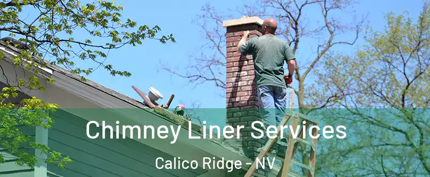 Chimney Liner Services Calico Ridge - NV