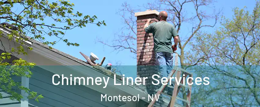 Chimney Liner Services Montesol - NV