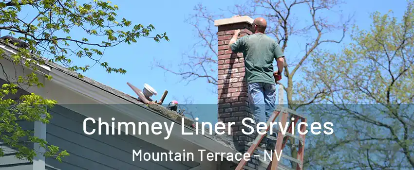 Chimney Liner Services Mountain Terrace - NV