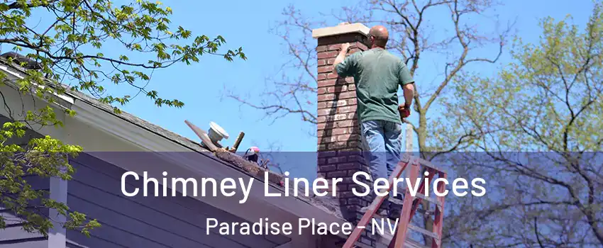 Chimney Liner Services Paradise Place - NV