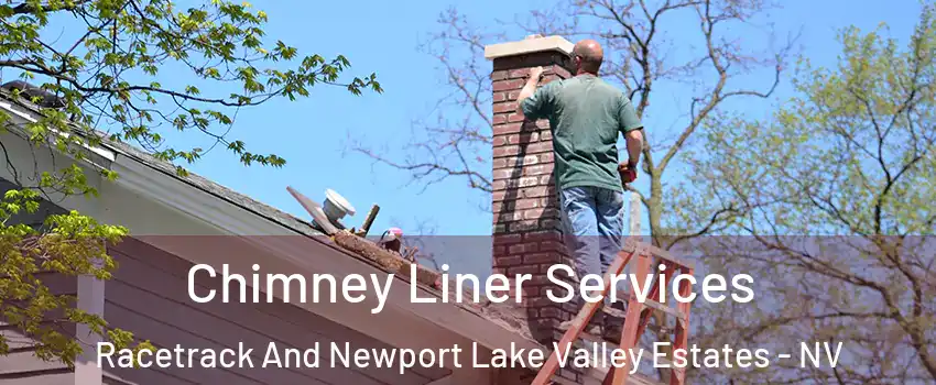 Chimney Liner Services Racetrack And Newport Lake Valley Estates - NV