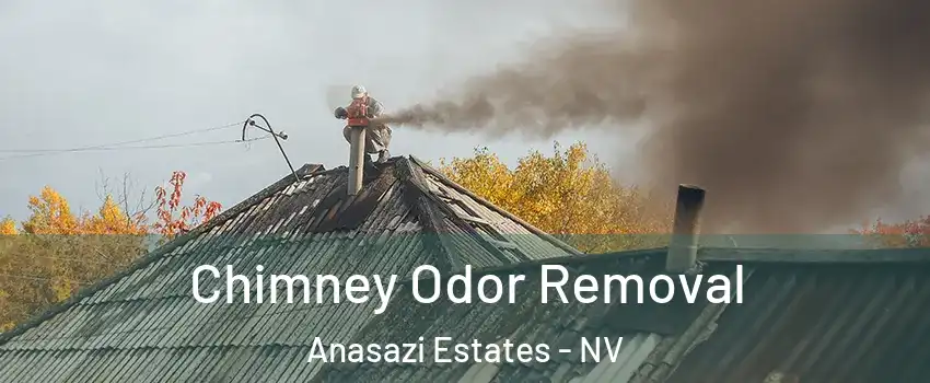 Chimney Odor Removal Anasazi Estates - NV