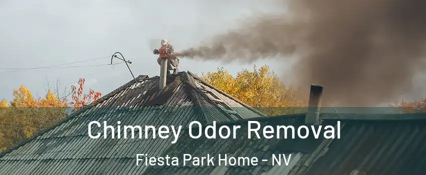 Chimney Odor Removal Fiesta Park Home - NV