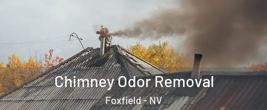 Chimney Odor Removal Foxfield - NV