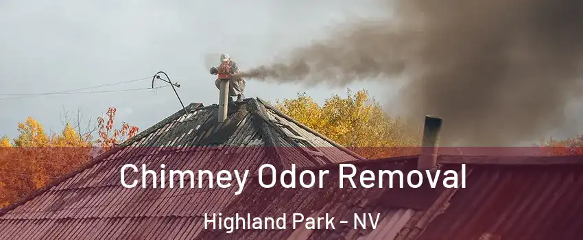 Chimney Odor Removal Highland Park - NV