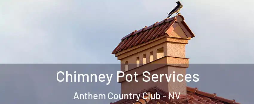 Chimney Pot Services Anthem Country Club - NV