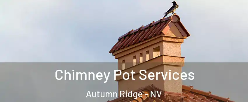 Chimney Pot Services Autumn Ridge - NV