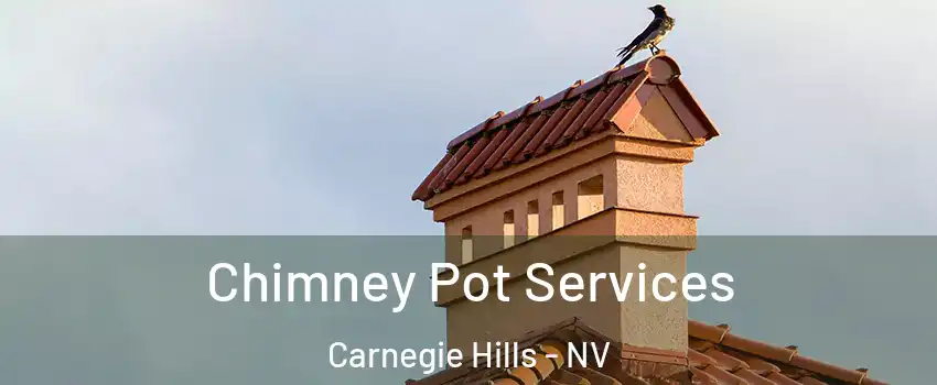 Chimney Pot Services Carnegie Hills - NV