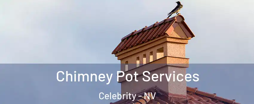 Chimney Pot Services Celebrity - NV