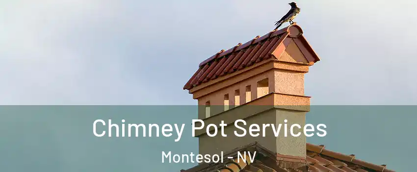 Chimney Pot Services Montesol - NV