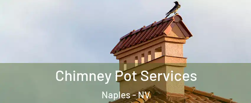 Chimney Pot Services Naples - NV