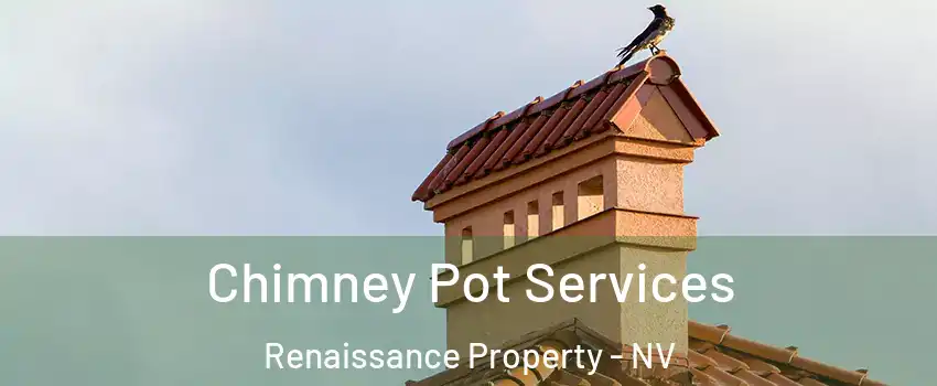 Chimney Pot Services Renaissance Property - NV