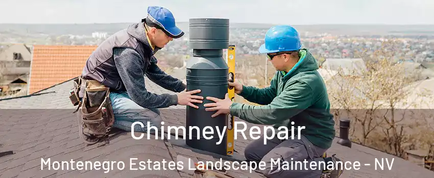 Chimney Repair Montenegro Estates Landscape Maintenance - NV