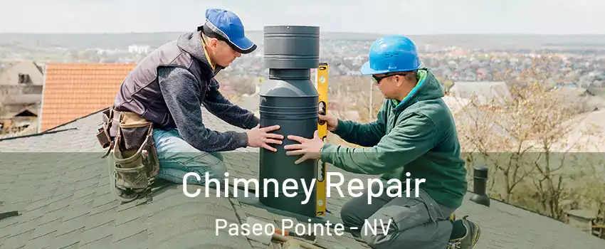 Chimney Repair Paseo Pointe - NV