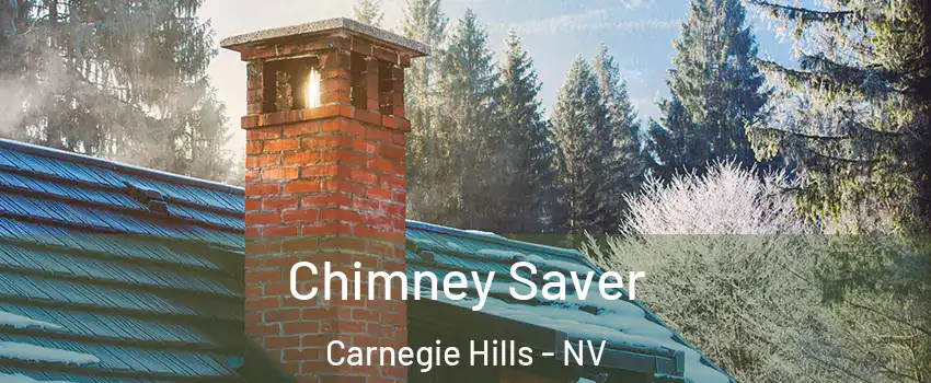 Chimney Saver Carnegie Hills - NV