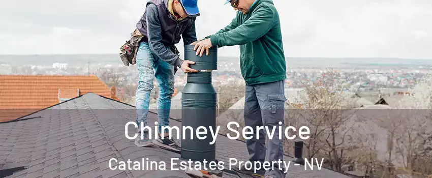 Chimney Service Catalina Estates Property - NV